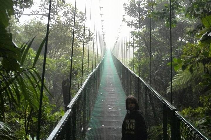 Cloud Forest Hanging Bridges tour with
Johnny loves nature Eco-tour